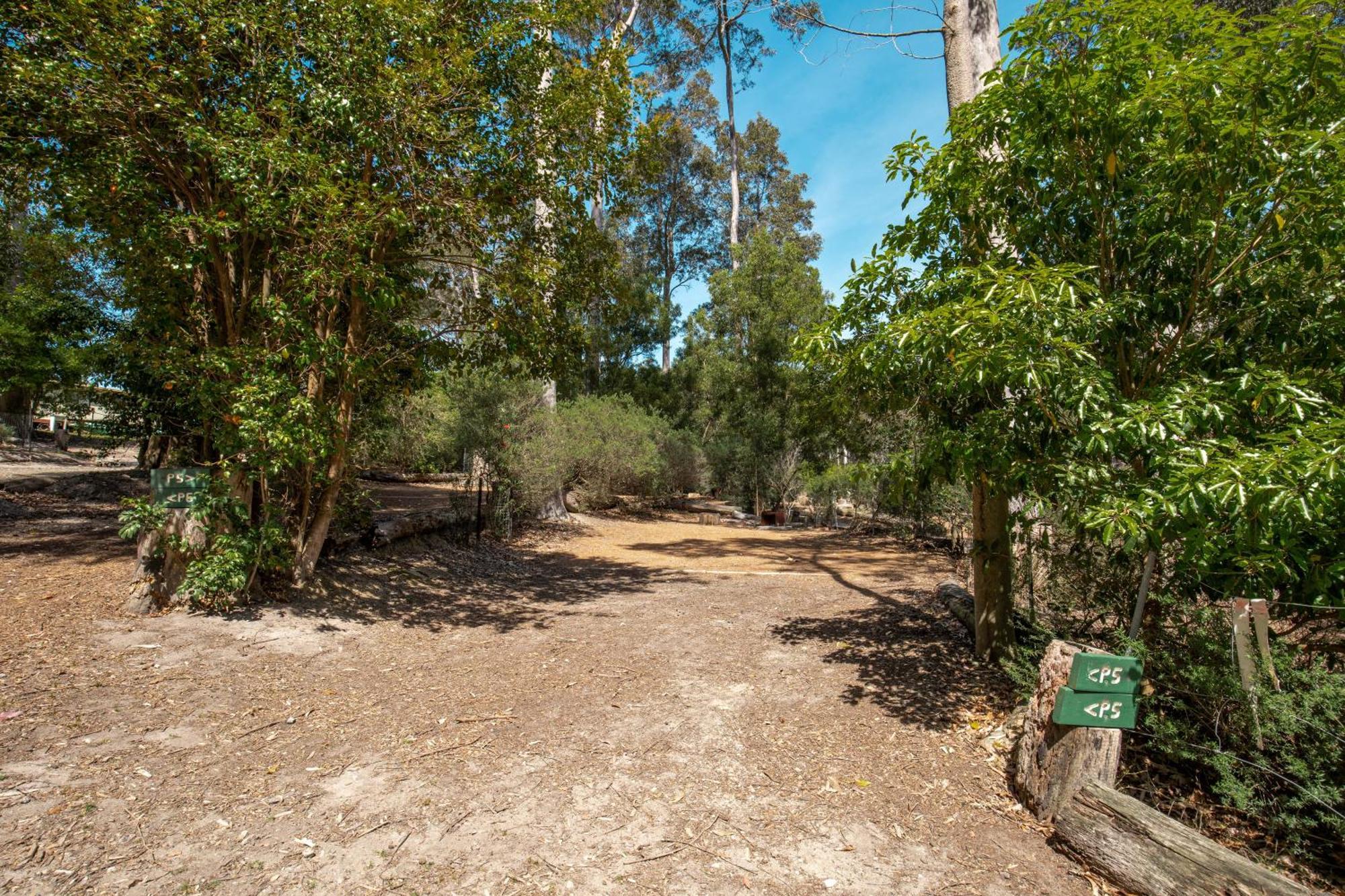Durras Lake North Holiday Park Extérieur photo